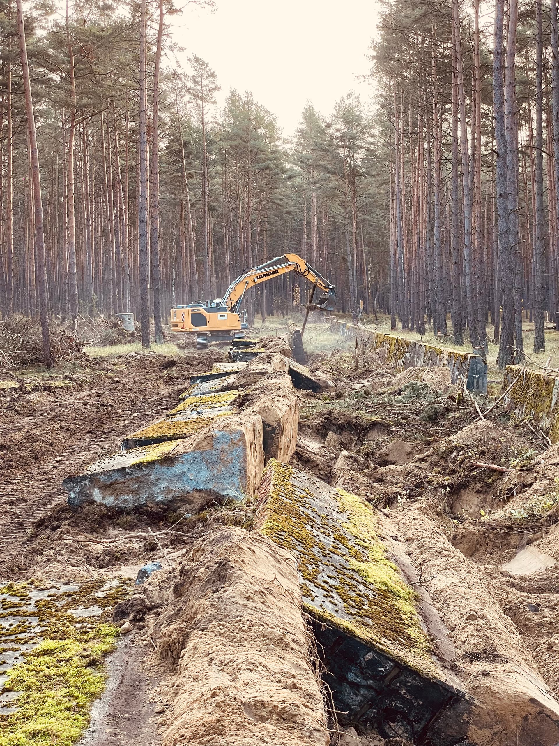 Abbruch Pulverfabrik Dreetzer Wald