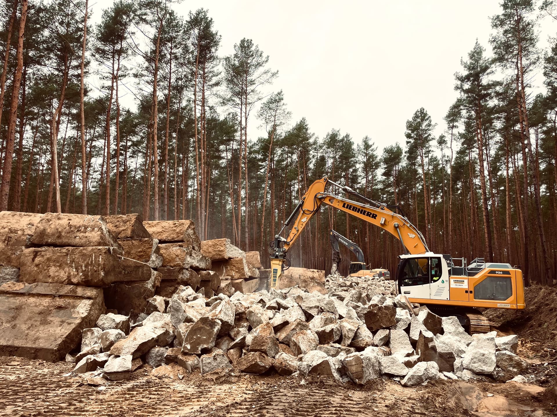 Abbruch Pulverfabrik Dreetzer Wald – Bild 2